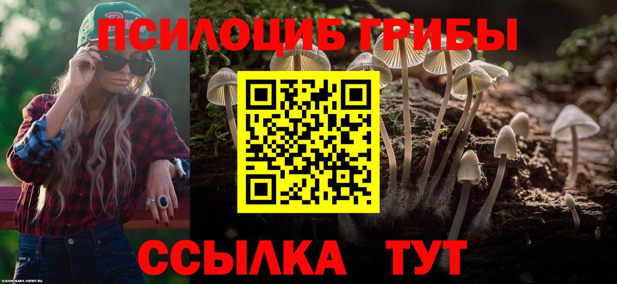 Псилоцибиновые грибы мухоморы Полысаево