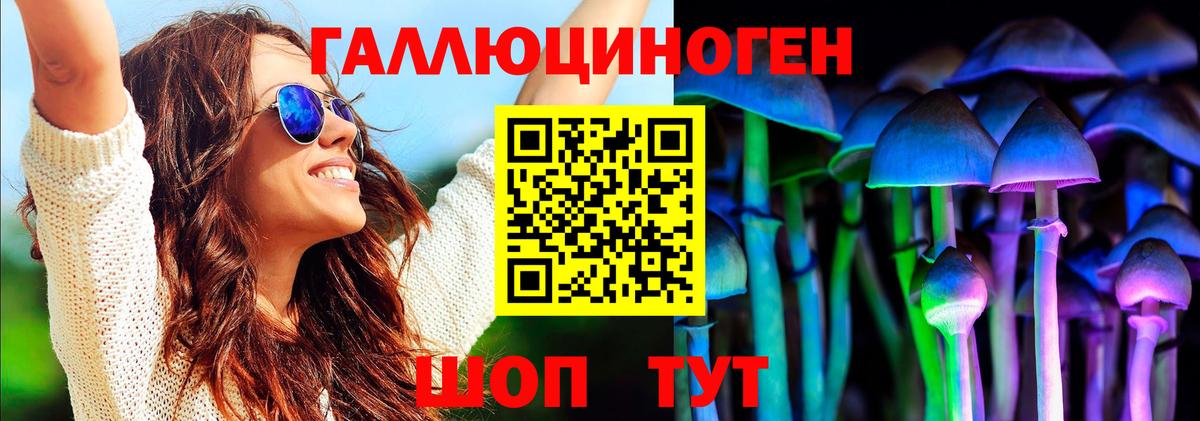 цены   Псилоцибиновые грибы Cubensis  Вход с VPN  Полысаево  Псилоцибиновые грибы прущие грибы 